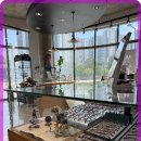 호만빌딩 | 세종안경에서 선글라스 구매한 후기와 특급 서비스