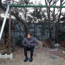 신우홈마트
