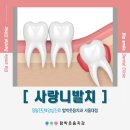함박웃음치과의원 - 고양시 일산서구 고양대로 676-1 | 함박웃음치과의원