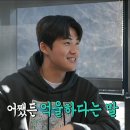머리끄댕이 Daum카페