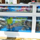 강동로6-6 이미지