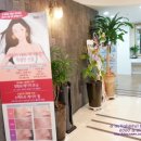 대조동 224-24 이미지