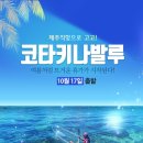 코타제주