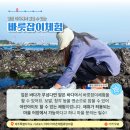 위미1리 이미지