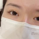 플랑스튜디오 | 눈시림이 1도 없는 자극없는 하남 속눈썹펌 스튜디오플랑 블랙틴팅펌 솔직후기