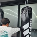 BMG 복싱 이미지