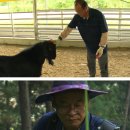 박영철농장 이미지