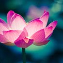 동성아파트(남) 이미지