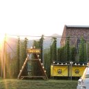 트레비어 이미지