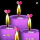 노가니 이미지