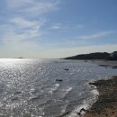 무의사랑공인중개사사무소 이미지