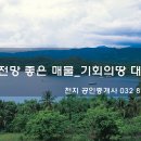 천지공인중개사사무소 이미지