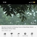 데일리캄(dailycalm)