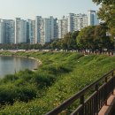 잠원강변 | 🌿 서울 서초구 &#34;잠원동 유래와 동네 특성 - 뽕나무밭에서 강변 라이프까지&#34;