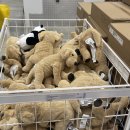 수지로2R-1 | 크로스핏 여자 주말 회개 런지