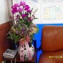 덕산면011 Daum카페