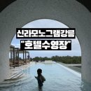 수영장 | 신라모노그램 강릉 호텔동 수영장 후기 오션뷰까지 완벽!