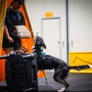 루카스독트레이닝 이미지