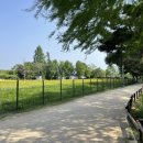 장자호수공원(시민의숲) | 구리 장자호수공원 시민의숲 반려동물놀이터 주차