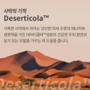 오예숙헤어