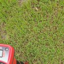 선수촌로 이미지