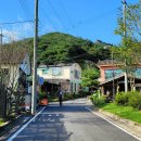 마곡사 주차장2 이미지