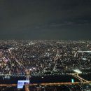 일본도쿄스카이타워. 야경 이미지