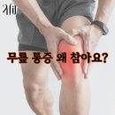 신봉2로2L-1 이미지