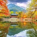 봉동2농장 이미지