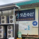 유한회사 신선