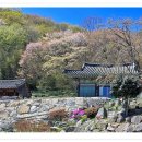 의령 백련암 목조보살좌상과 복장유물 이미지