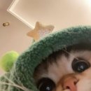아마존PC | 미국 사는 친구에게 선물하기 : 아마존 E 기프트 카드 구매 방법