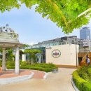 장미카페 이미지