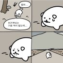윈그루밍 | 월화수목금토일 주간일기(0210-0215)