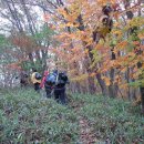 여주-1099 이미지