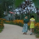 아트캠핑장 이미지