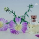 너브내노인전문요양원 네이버블로그