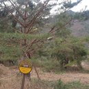 살구미둘레길입구 이미지