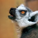 블루밍태권도 체육관 이미지