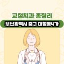 부산광역시 중구 대청동4가 교정치과 총정리