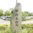 동촌유원지 유기장 이미지
