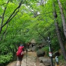 별꽃민박 | 소백산 철쭉산행 연화봉대피소 1박 삼가-비로봉-연화봉-제2연화봉