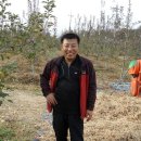 몽실농장 이미지