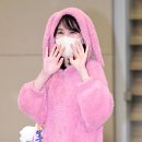 핑크토끼 OSEN