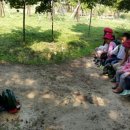 남산숲어린이집 이미지