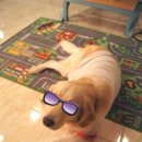 애니몰하우스 이미지