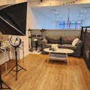 낭창한 강아지 이미지