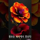 시대가 바뀌면 속담도 바뀐다 이미지