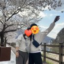 [후기] 룰루레몬 lululemon 에브리웨어 벨트백 1L 스트라이프 워드마크 / 착샷有🩵