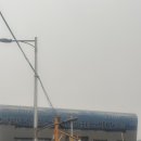 태평양회집 | 노량진횟집 추천｜태평양수산 방광돔회 소 포장 후기